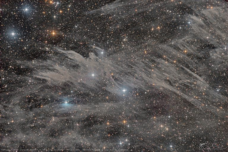 A Cormorant in the Southern Celestial Serpent MW9