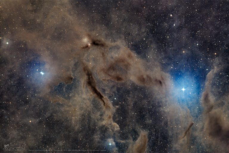 Part of the Dark-Wolf-Nebula